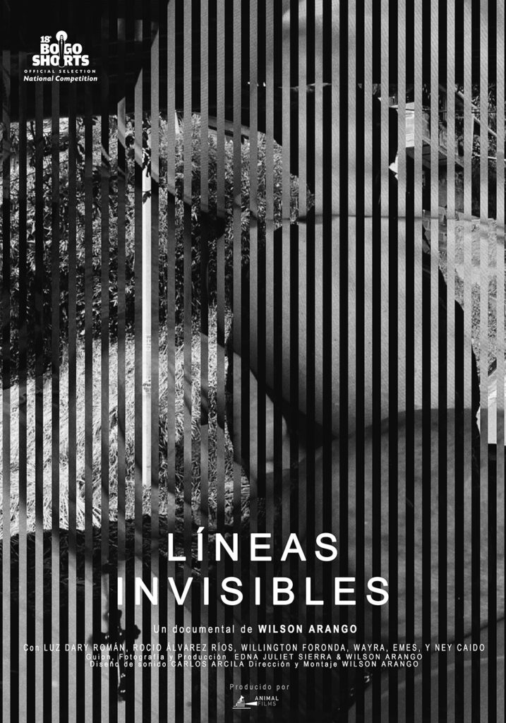 Afiche líneas invisibles